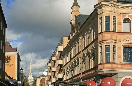 Fagelmannen