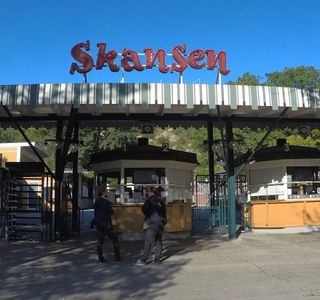 Skansen - Akvariet