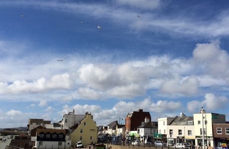 Shoreham Farmers Market