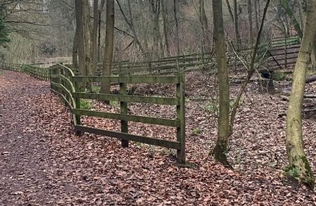 Wynyard Woodland Park