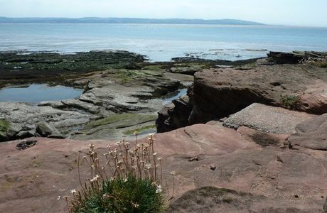 Hilbre Island Nature Reserve