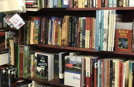 The BookWorm Bookstore & More