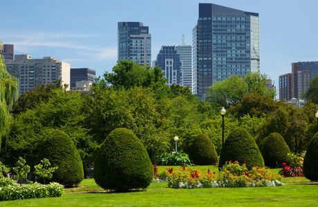 Boston Common