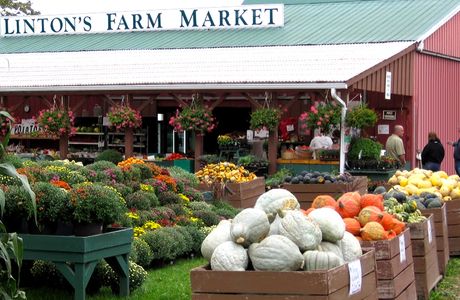 Fifer's Farm Market Cafe