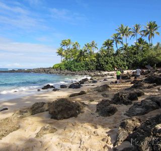 North Shore
