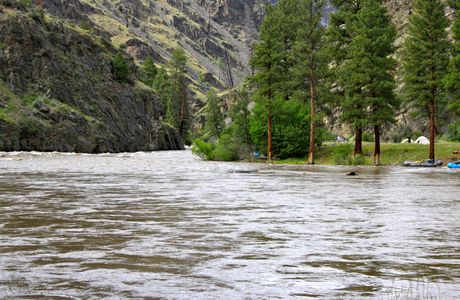 Middle Fork of the Salmon River