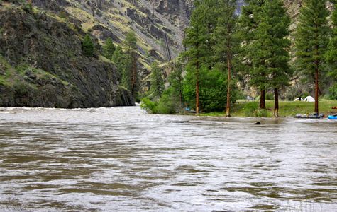Middle Fork of the Salmon River 1
