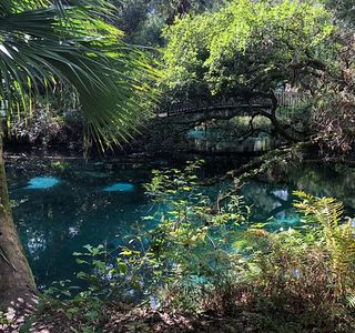 Ocala National Forest