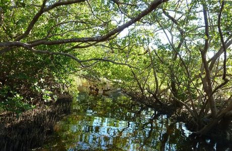 Robinson Nature Preserve