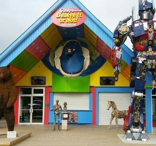 Ripley's Believe It or Not!