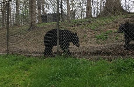 West Virginia State Wildlife Center