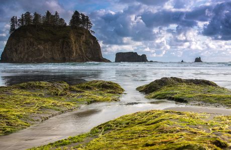 Olympic Peninsula