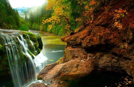 Gifford Pinchot National Forest