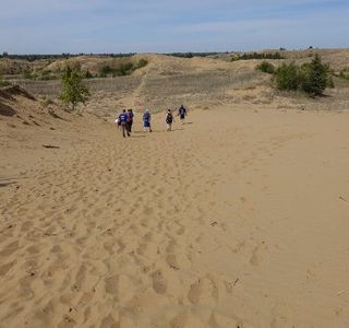 Carberry (Spirit Sands) Desert