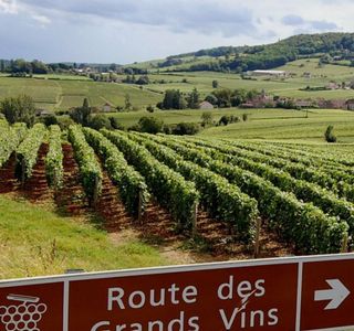 Route des Vins