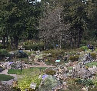 Jardin d'altitude du Haut Chitelet