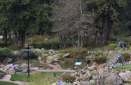 Jardin d'altitude du Haut Chitelet