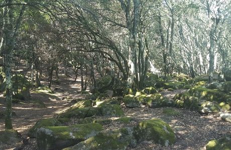Parc Naturel d'Olva