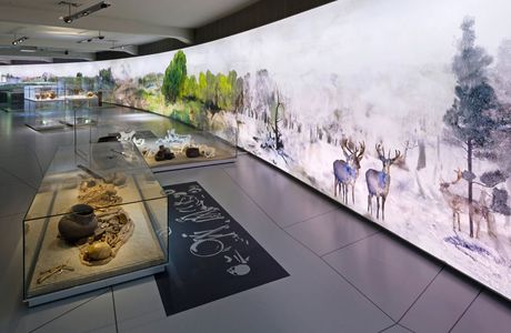 Museum für Druckgrafik
