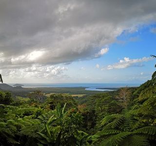 Mount Alexandra Lookout