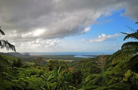 Mount Alexandra Lookout