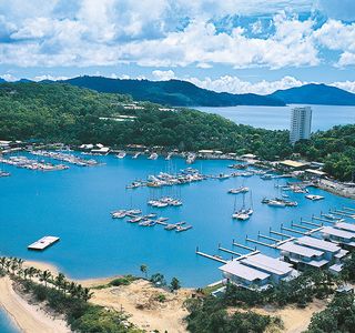 Hamilton Island Wildlife