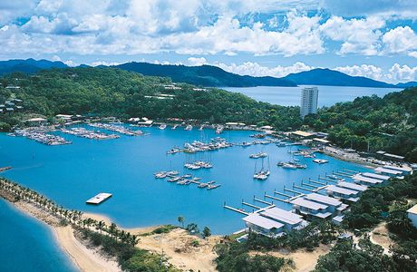 Hamilton Island Wildlife