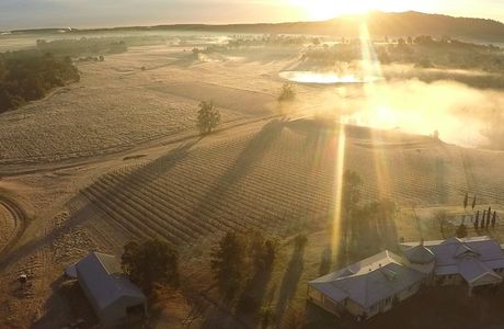 Glenguin Estate and Vineyard