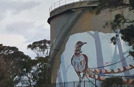 Lyrebird Mural