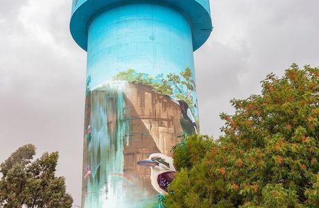 Deniliquin Water Tower Mural