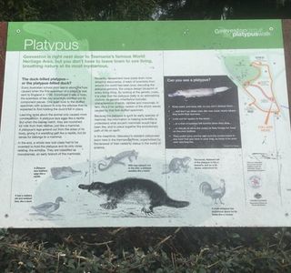 Platypus Walk