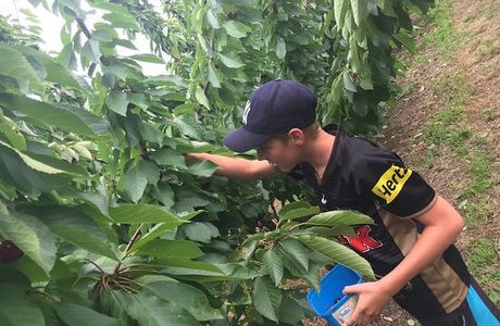 Fleurieu Hills Vineyard