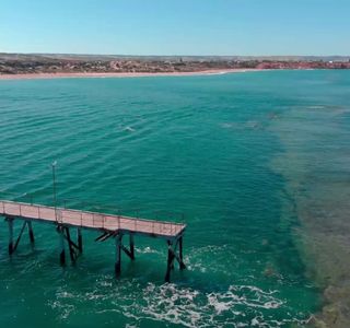 Port Noarlunga Reef