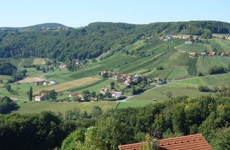 Gesamtsteirische Vinothek