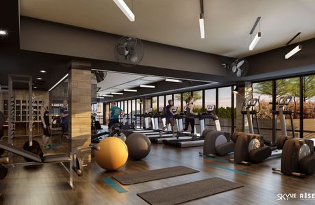 BIO GYM