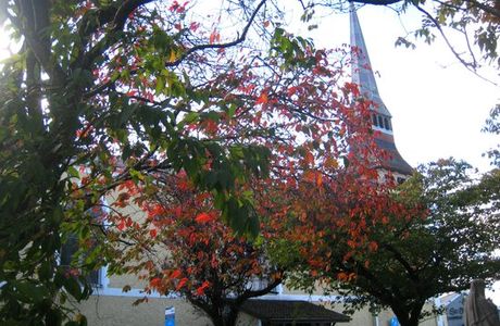 St. Brigid's Parish