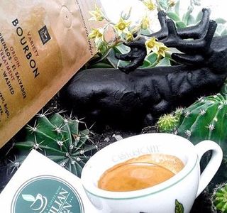 Brazilian Green Cup Espresso Bar