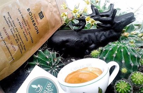 Brazilian Green Cup Espresso Bar