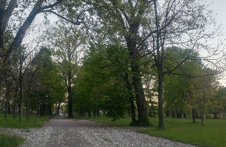 Parco del Rivellino