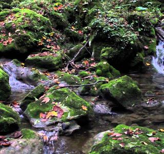 Cascata del Kot
