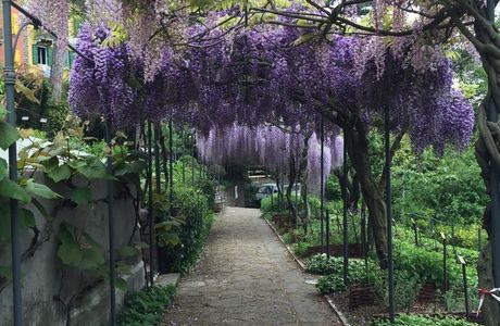 Botanical Garden of Trieste