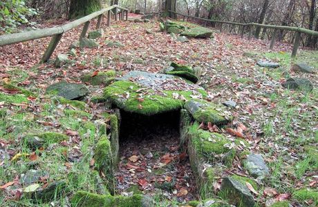 Parco dei Lagoni di Mercurago