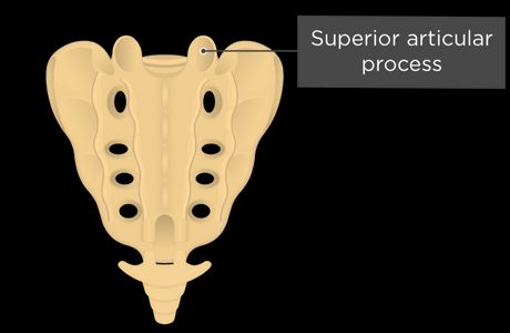 Ver Sacrum