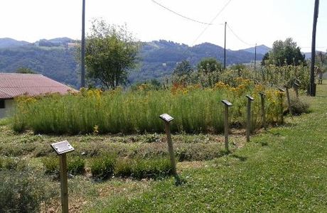 Giardino delle Erbe Augusto Rinaldi Ceroni