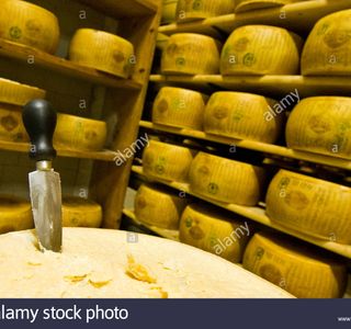 Cooperativa Casearia Castelnovese Parmigiano Reggiano