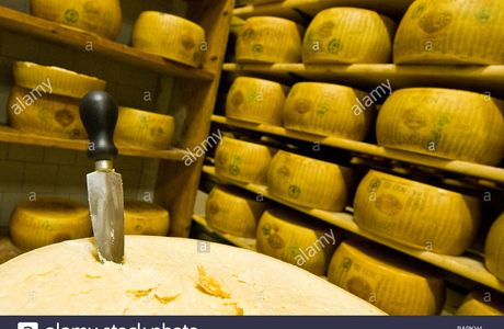 Cooperativa Casearia Castelnovese Parmigiano Reggiano