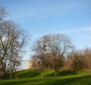 Parc des Beaumonts