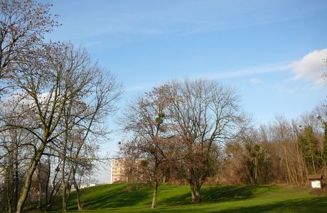 Parc des Beaumonts
