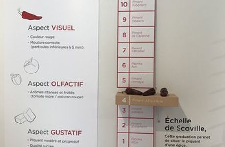 Segida