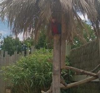 Zooparc de Cheptainville